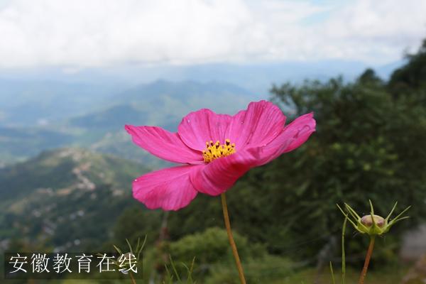 AV0P5076_����.jpg