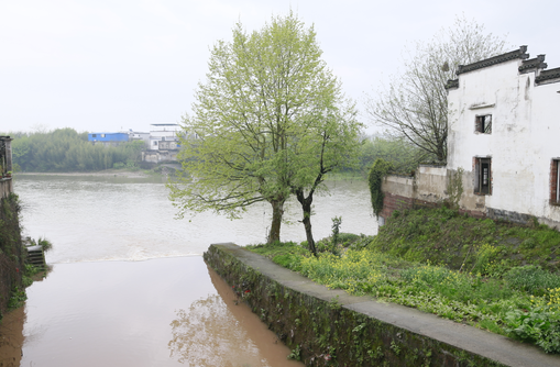 �Ϸ��д�ͥ�@С�W(xu��) ���������������o�Լ�����늡�