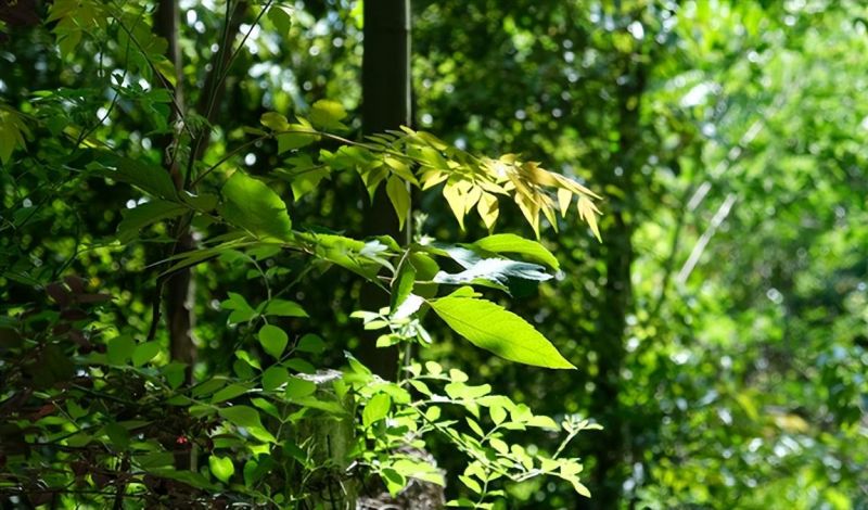 �Ϸ�����ʮ�ЌW(xu��)�|У����·У�^(q��) �������o(h��)�ഺ���ġ��ġ��_(k��i)ʼ