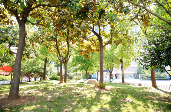 �Ϸ�����ʮ�ЌW(xu��)�|У���@У�^(q��) �~�᣺�(y��ng)���đB(t��i)���������������B