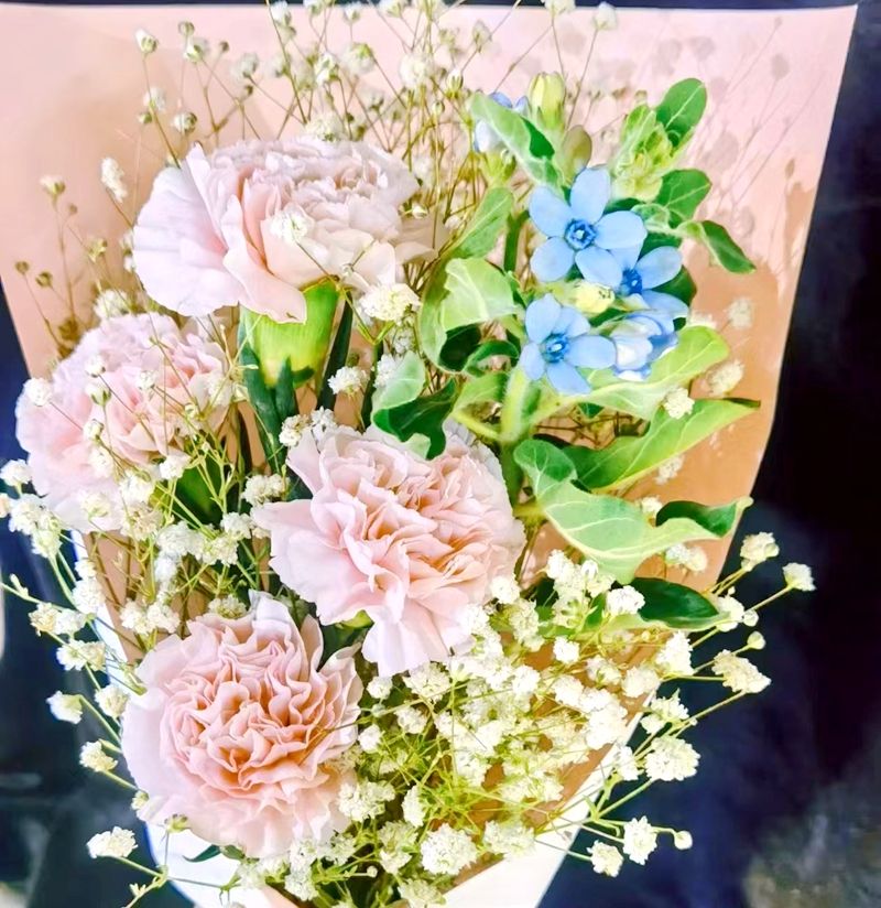 �����I(y��)��W(xu��)���Ƴ��� ����ӭ���׌û�����I(y��)������