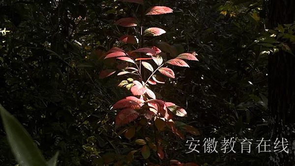 ���ӌW(xu��)��(x��)���y��Ҫ�����T�\������