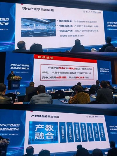 2024��a(ch��n)���ںϸ��|(zh��)���l(f��)չՓ����ʏ���e��
